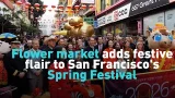 Flower market adds festive flair to San Francisco's Spring Festival Flower market adds festive flair to San Francisco's Spring Festival