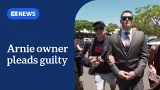 Owner of Arnie the German shepherd pleads guilty over dog's death | ABC NEWS