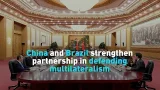 China and Brazil strengthen partnership in defending multilateralism