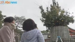 八づくしで「末広がり」の願い込め　紅葉八幡宮に巨大門松