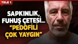 Oytun Erbaş, Epstein'i anlattı! İşte pedofiklerin ortak özellikleri...