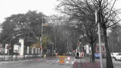 Pavia, in arrivo nuove chiusure in viale Gorizia per completare la potatura degli alberi