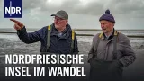 Zurück bei den Wattmännern von Pellworm | Die Nordreportage | NDR Doku Zurück bei den Wattmännern von Pellworm | Die Nordreportage | NDR Doku