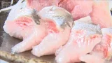 北海道でニシン大漁　産卵期ならではの味覚がおなかにたっぷり【詳細版】【もっと知りたい！】【グッド！モーニング】(2026年3月13日)