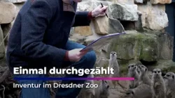 Einmal durchgezählt - Zoo Dresden macht Inventur I Sachsen Fernsehen