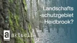Landschaftsschutzgebiet Heidbrook? Das sind die Pläne der Stadt | oeins aktuell Landschaftsschutzgebiet Heidbrook? Das sind die Pläne der Stadt | oeins aktuell