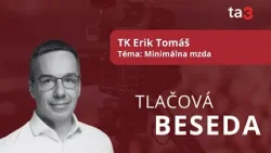 TK Erika Tomáša, Téma: Minimálna mzda