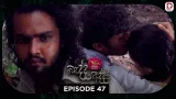 Badda addara 47