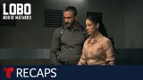 Lobo, Morir Matando, weekly recap episodes 5 to 8 | Telemundo English