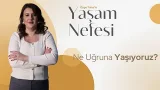 Ne Uğruna Yaşıyoruz? - Özge Talas | Yaşam Nefesi Ne Uğruna Yaşıyoruz? - Özge Talas | Yaşam Nefesi