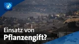 Konflikt mit der Hisbollah: Israel versprüht im Libanon wohl Pflanzengift