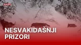 Zvijeri snimljene na Plitvicama, pazite koga vjerojatno traže: Slijedile su im miris | RTL Danas Zvijeri snimljene na Plitvicama, pazite koga vjerojatno traže: Slijedile su im miris | RTL Danas
