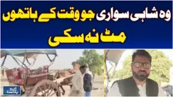 Horse Carriages Thatta | Royal Ride Legacy in Makli | Traditional Transport Pakistan - Aaj News