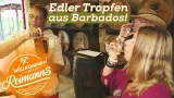 Und 'ne Buddel voll Rum! Das edle Tröpfchen und die Cola-Frage | Willkommen bei den Reimanns
