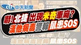 【劉又嘉報新聞】北市漢他病毒才奪命 北捷車廂竟見"老鼠入侵"｜北捷車廂老鼠哪來? 官方調畫面"疑從包裡竄出"  精華版 20260206 @中天電視CtiTv