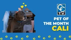 CC-TV Pet of the Month - Cali