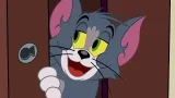 TOM VE JERRY NEW YORK'TA | Zirvenin Sahibi | TAM BÖLÜM | @cartoonnetworkturkiye