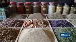 Herat’s medicinal plant exports have tripled | صادرات نباتات طبی هرات ۳برابر افزایش یافته است Herat’s medicinal plant exports have tripled | صادرات نباتات طبی هرات ۳برابر افزایش یافته است