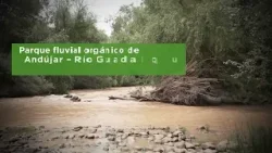 Cabecera Spot  Proyecto  Besando, abrazando el rio Gudalquivir