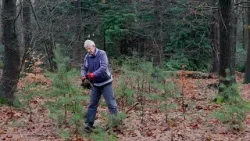 Bomen opgraven in Ede voor meerbomen.nu