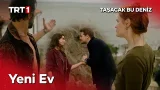 Miço tavırlar mı, maço tavırlar mı? - Taşacak Bu Deniz 20. Bölüm @tasacakbudeniztrt