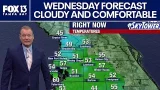 Tampa weather | Sunny and comfortable temps