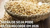 Safra de soja super estimativa e pode bater recorde em 2026 Safra de soja super estimativa e pode bater recorde em 2026