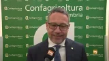 Confagricoltura Umbria, Matteo Pennacchi è il nuovo presidente
