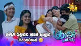 මේවා බලන්න අපේ ඇසුත් පිං කරානේ ?