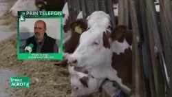 ”Prețul laptelui, scăderi surprinzatoare în aceasta perioada!” 14 01 2026