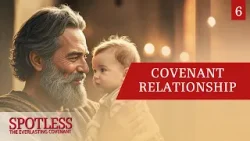 «Ратифицировано в форме концепции» — Spotless 06