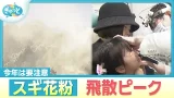 診察待ちの行列も…スギ花粉の飛散ピーク今年は違う注意も必要に【ぎゅっと】（2026年2月25日OA）