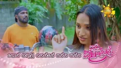 ගොන් ගඟුලි ගහන්නේ පන්න පන්න