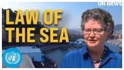 Game-changing international marine protection treaty comes into force | United Nations