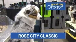 On the Go with Ayo at the Rose City Classic