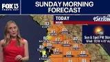 Tampa Weather | Sunday morning forecast