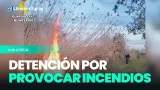 Detenido por provocar varios incendios forestales en el parque natural de s'Albufera