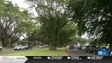 Future management of Hilo’s Banyan Drive up for discussion