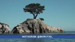 El ecoturismo aventura se vive en la Península de Hualpén