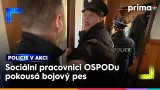 Sociální pracovnice byla při výkonu pravomoci napadená psem | Policie v akci