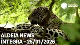 Aldeia News - 25/01/2026 Aldeia News - 25/01/2026