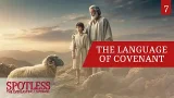 «Подтверждение и возобновление завета» — Spotless 07 «Подтверждение и возобновление завета» — Spotless 07
