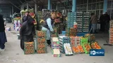 Fresh fruit exports via Herat surge this year | افزایش چشمگیر صادرات میوه تازه از بنادر هرات Fresh fruit exports via Herat surge this year | افزایش چشمگیر صادرات میوه تازه از بنادر هرات