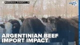 What is the impact of beef imports from Argentina?