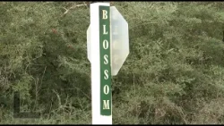 Hilltop Lakes residents face address changes to improve emergency response times