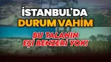 Türkiye'deki orman talanının dünyada örneği yok. İşte 1997'den günümüze vahim tablo