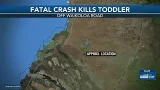 3-year-old killed in traffic collision on Hawaii Island