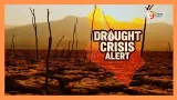 Drought crisis: Over 2 million face acute food shortage as 23 counties at risk