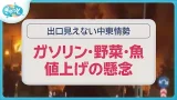 野菜や魚にも…暮らしへの影響必至“中東情勢悪化”による変化【ぎゅっと】(2026年3月9日OA)