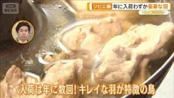 害獣を捨てずに生かす貴重なジビエ鍋　クジャクやアライグマも【グッド！いちおし】【グッド！モーニング】(2026年1月15日)